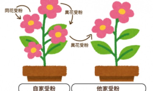 身上有很少的小红点是什么情况-身上有很多小红点不痛不痒、身上有很多小红点很痒 -身上有很多小红点遗传网