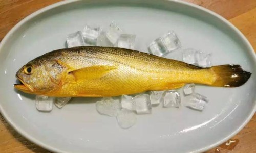 身上有很多小红点不痛不痒、身上有很多小红点很痒 -身上有很多小红点遗传网